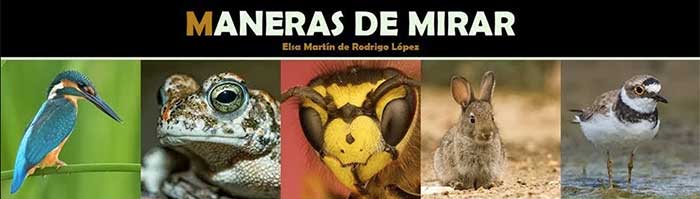 Maneras de mirar Maneras de mirar