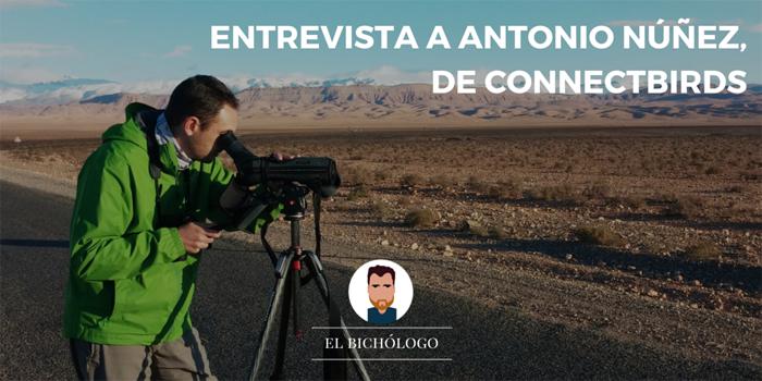 Entrevistando a Antonio Núñez, co-fundador de ConnectBirds