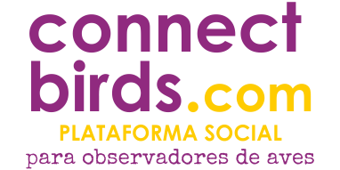 Logotipo de la plataforma social de ornitología ConnectBirds