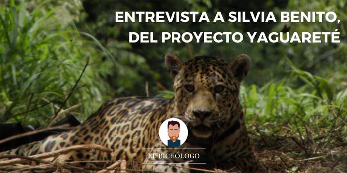 Entrevista a Silva, coordinadora de comunicación del Proyecto Yaguareté