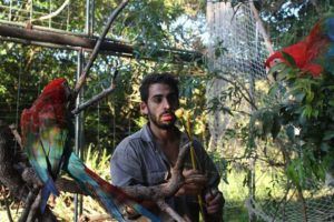 Jaulón de los guacamayos