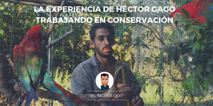 Una entrevista sobre conservación