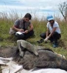 Héctor y una compañera estudiando osos hormigueros