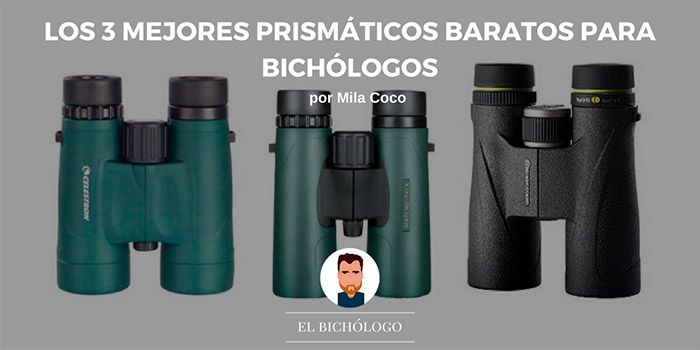 Los 3 mejores prismáticos baratos para bichólogos