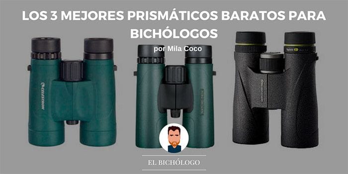 Los 3 mejores prismáticos baratos para bichólogos