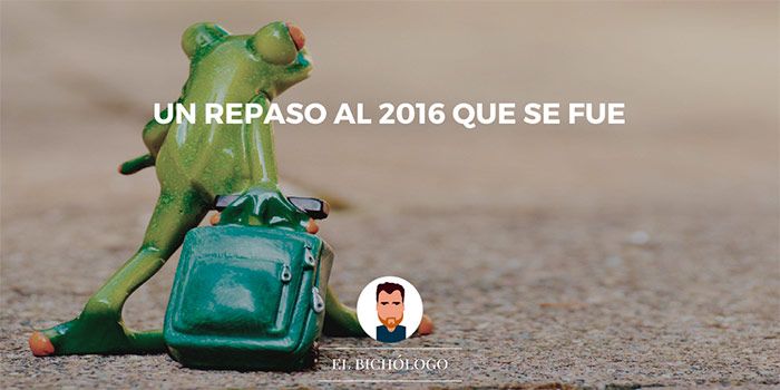 Haciendo un balance del 2016 para el blog