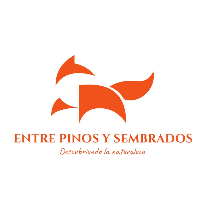 Logo Entre Pinos y Sembrados